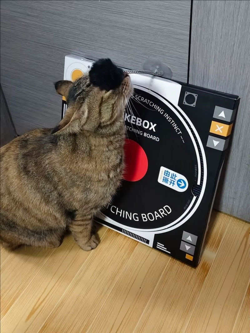 Vinyl Record Cat Scratcher Reinforced Sisal Fiber Board Protects Sofa Carpet from Cat Claws Durable Cardboard Alternative