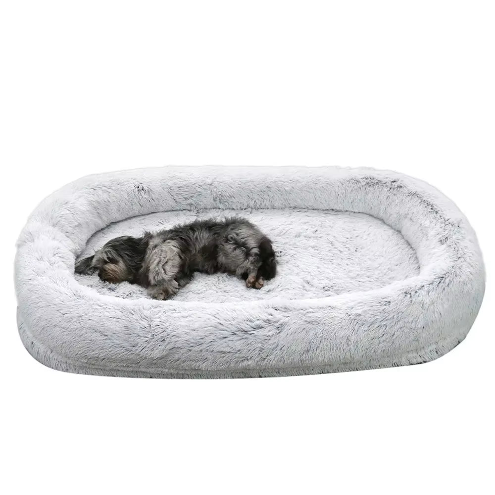 A Giant Plush Sponge Dog Bed for Human Use to Keep Warm in Winter as a Pet Bed. People and Dogs Share Leisure Mattresses