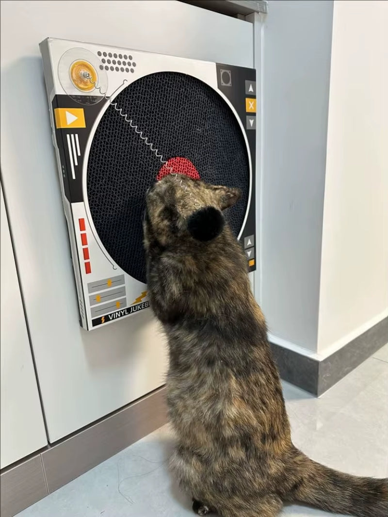 Vinyl Record Cat Scratcher Reinforced Sisal Fiber Board Protects Sofa Carpet from Cat Claws Durable Cardboard Alternative